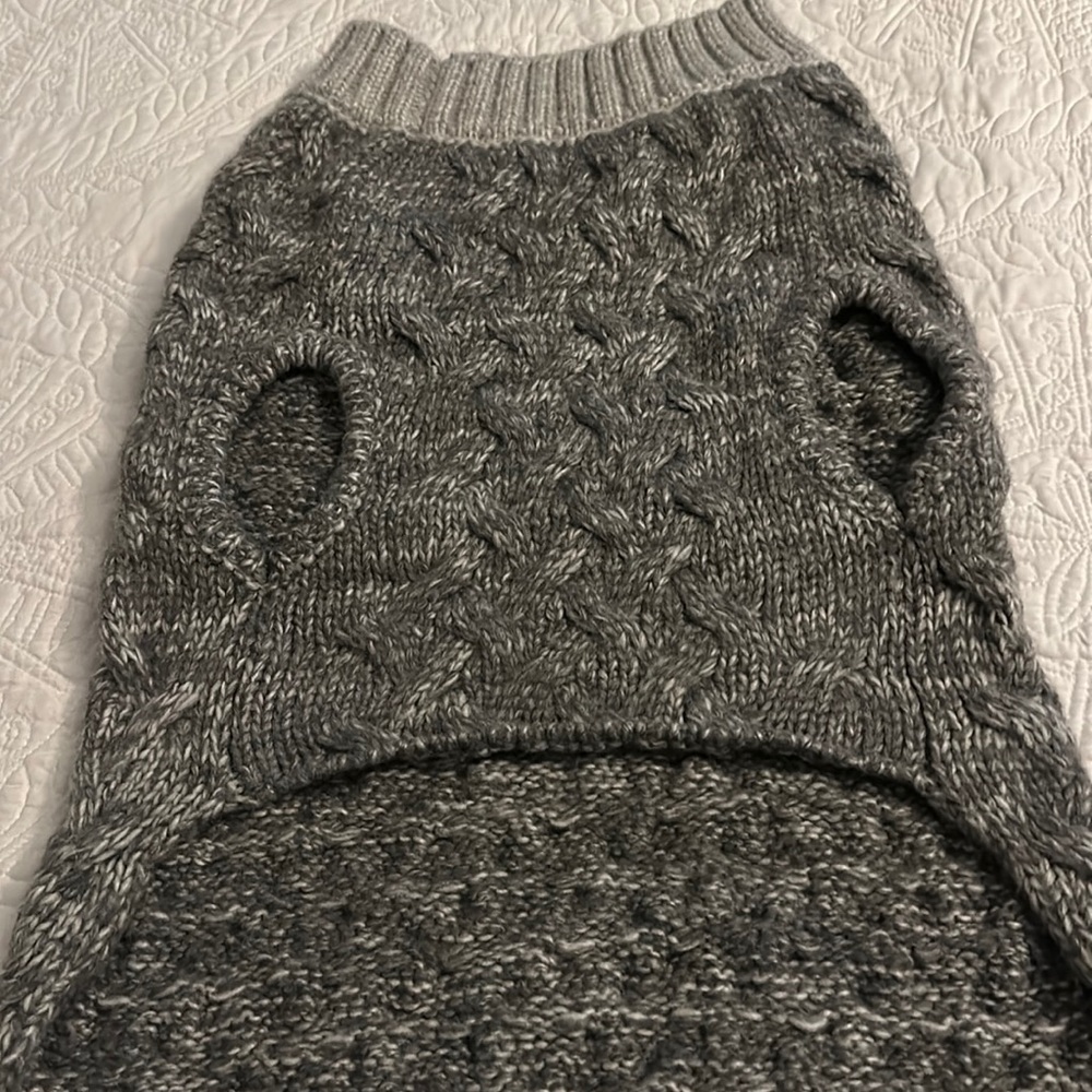 Express Médium sweater